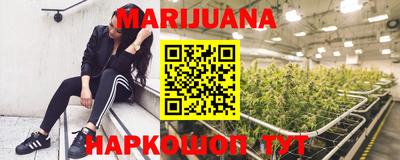 прущие грибы Ставрополь