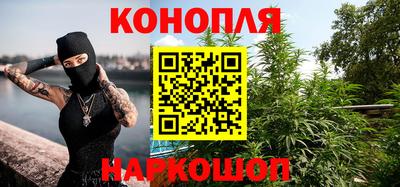 прущие грибы Ставрополь