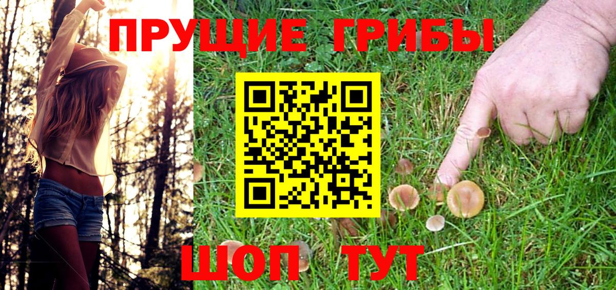 Псилоцибиновые грибы прущие грибы Нижнекамск
