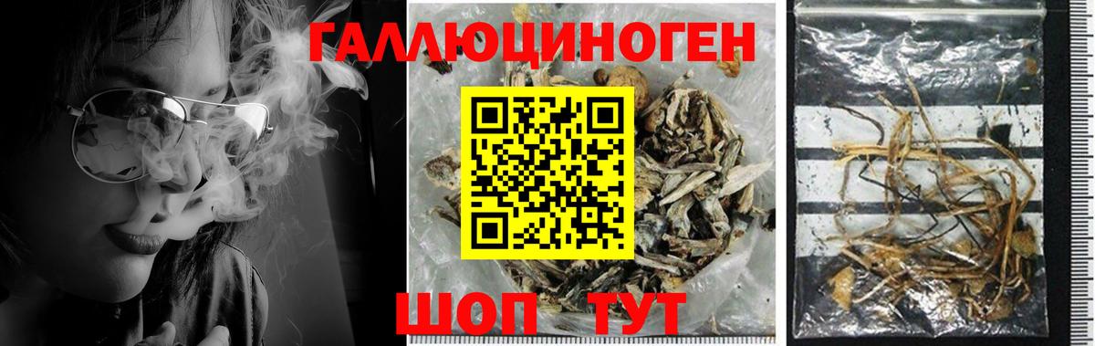Нижнекамск  Псилоцибиновые грибы ЛСД  Вход с VPN 